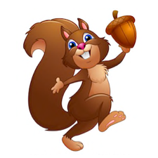 Squirrels