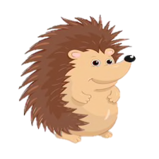 Hedgehogs