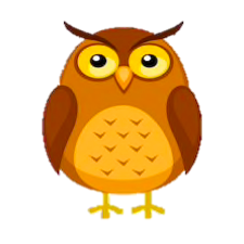 Owls